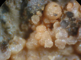 koninckite-photo & coll JDV